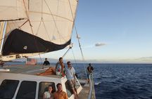Hawaii catamaran sunset sailing excursion