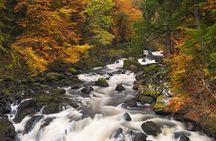 Highland Lochs, Glens and Whisky small-group day tour