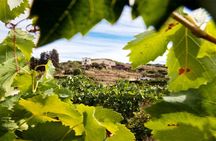 Breakfast winery experience and wine tour from Barcelona