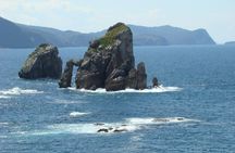 Private sightseeing tour from Bilbao to San Sebastian
