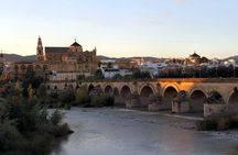 Cordoba full-day trip from Granada