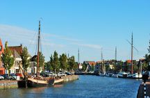 Half-day seal tour from Amsterdam