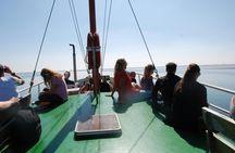 Half-day seal tour from Amsterdam