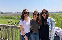 Wine tasting day trip from NYC
