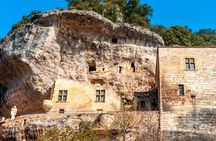 Daily shared tour of the Paleolithic art of Dordogne