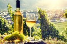 Alsace half-day shared wine tour from Strasbourg