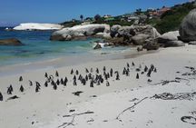 Cape Peninsula full-day tour from Cape Town