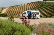 Cape Winelands full-day tour