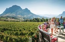 Cape Winelands full-day tour