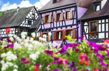 Alsace villages half-day shared  tour from Colmar