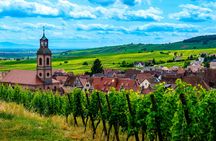 Alsace full-day shared wine tour from Colmar