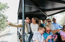 Signature Grand Canyon hummer tour
