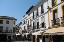 Cordoba full-day tour from Malaga