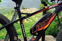 Valpolicella E-bike tour with wine tasting