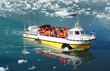 Jökulsárlón Glacial Lagoon and Diamond Beach excursion
