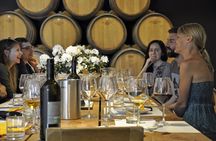 Educational guided wine tour and tasting in Siena