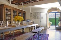 Educational guided wine tour and tasting in Siena