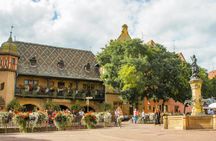 Best of Alsace full-day open-top bus tour from Strasbourg