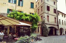 Private day trip by train from Venice to Padua