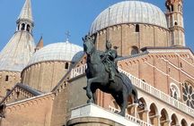 Private day trip by train from Venice to Padua