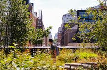 The High Line & Chelsea guided walking tour