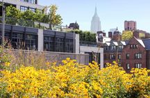 The High Line & Chelsea guided walking tour