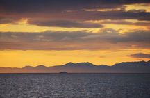 Midnight sun and whale watching boat tour