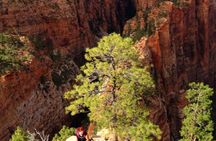 Zion Canyon south rim private tour