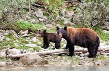 7-day Western Canada Rockies lodging tour