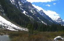 4 day Yellowstone and Tetons tour