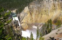 4 day Yellowstone and Tetons tour