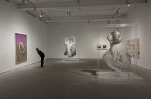 Reina Sofía Museum tickets and guided visit
