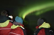 Northern Lights cruise in Reykjavík