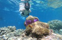 Key West trip with snorkeling and unlimited drinks