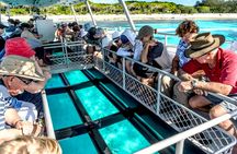 Key West Tour with Glassbottom Boat Ride from Miami Beach
