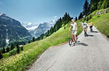 Day trip to Grindelwald First Mountain Adventure from Lucerne