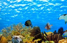 Walking under the sea in Mauritius