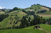 Bern capital and countryside tour from Lucerne