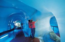 Half-day trip to Mt Titlis eternal snow and glacier from Lucerne