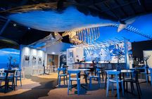 Whales of Iceland admission with audio guide and tour