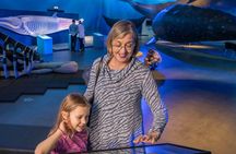 Whales of Iceland admission with audio guide and tour