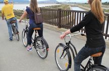 Flamingos oasis bike tour