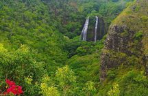 Kauai Highlights and Movie Locations Tour