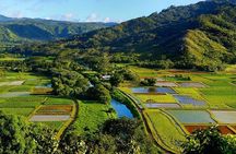 Kauai Highlights and Movie Locations Tour
