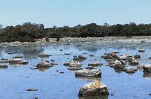 Daytrip to Barumini and the Giara of Gesturi