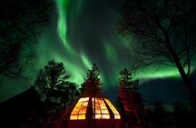 Aurora husky visit