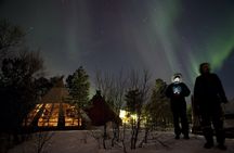 Aurora husky visit