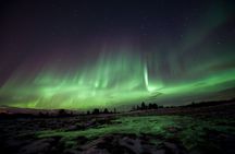 Aurora husky visit