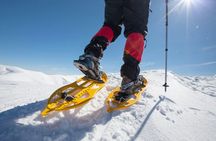 Guided snowshoe hike
