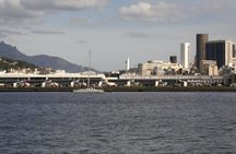 Rio by the sea Guanabara Bay cruise with lunch and Christ Redeemer by train